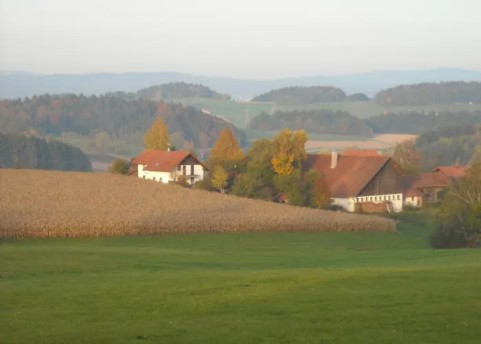 Biber * Witzmannsberg