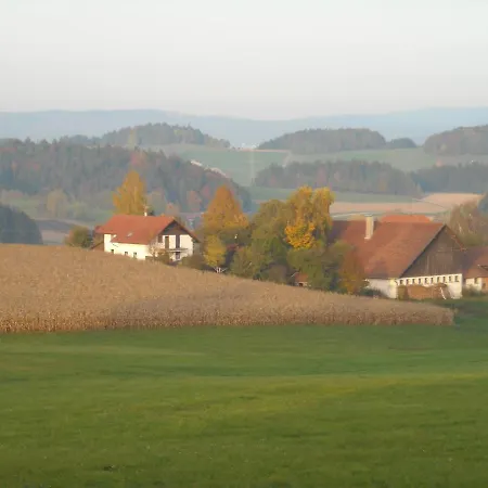 Biber * Witzmannsberg